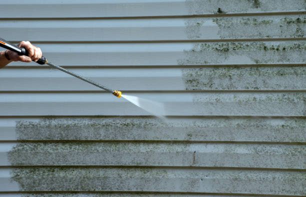 Animal Enclosure Cleaning in Buchanan, GA