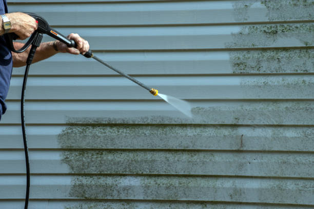 Best Driveway Pressure Washing  in Buchanan, GA